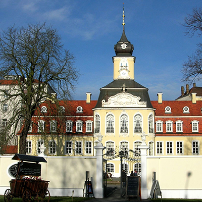 Web Entwickler Profis